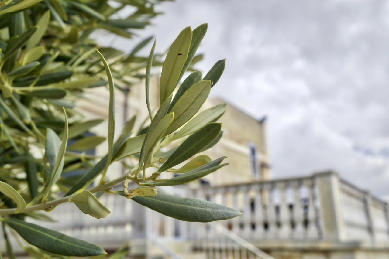 Tenuta Lama Gorga تراني المظهر الخارجي الصورة
